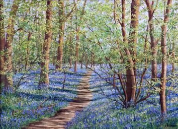 Bluebell Wood