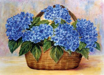 Hydrangeas in a Basket